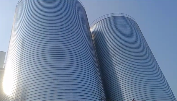 宝清2座混凝土高架卷板仓